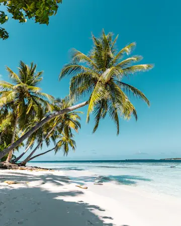 Nuevo vídeo: 7 días en Bali con 400 €